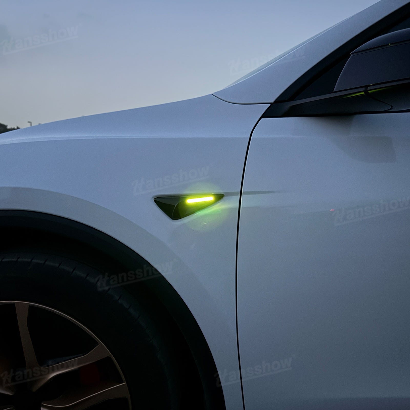 Model Y Juniper Ambient Lighting color options display