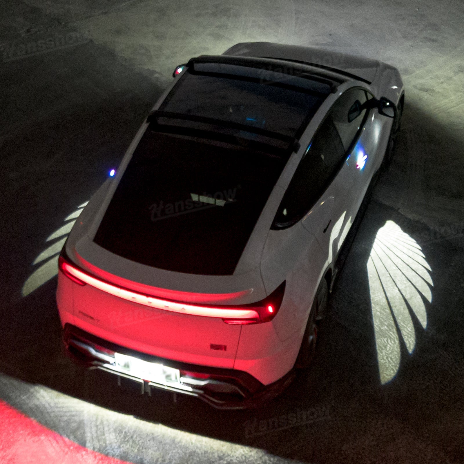 Side Mirror Projector Lights Angel Wing Welcome Lights for Tesla Model Y - View from inside the vehicle