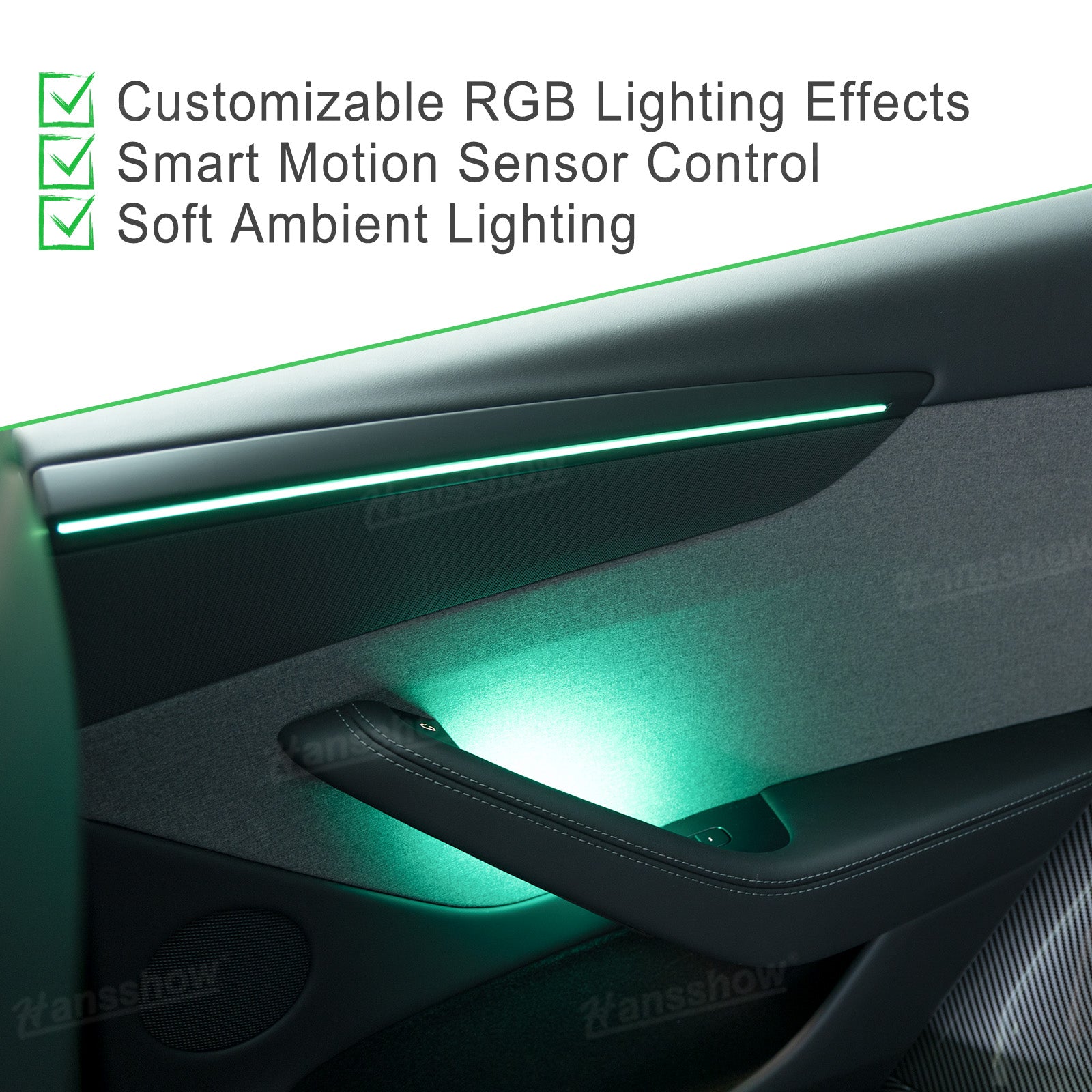 Model Y Ambient Lighting Door Handle Bowl Lights in action