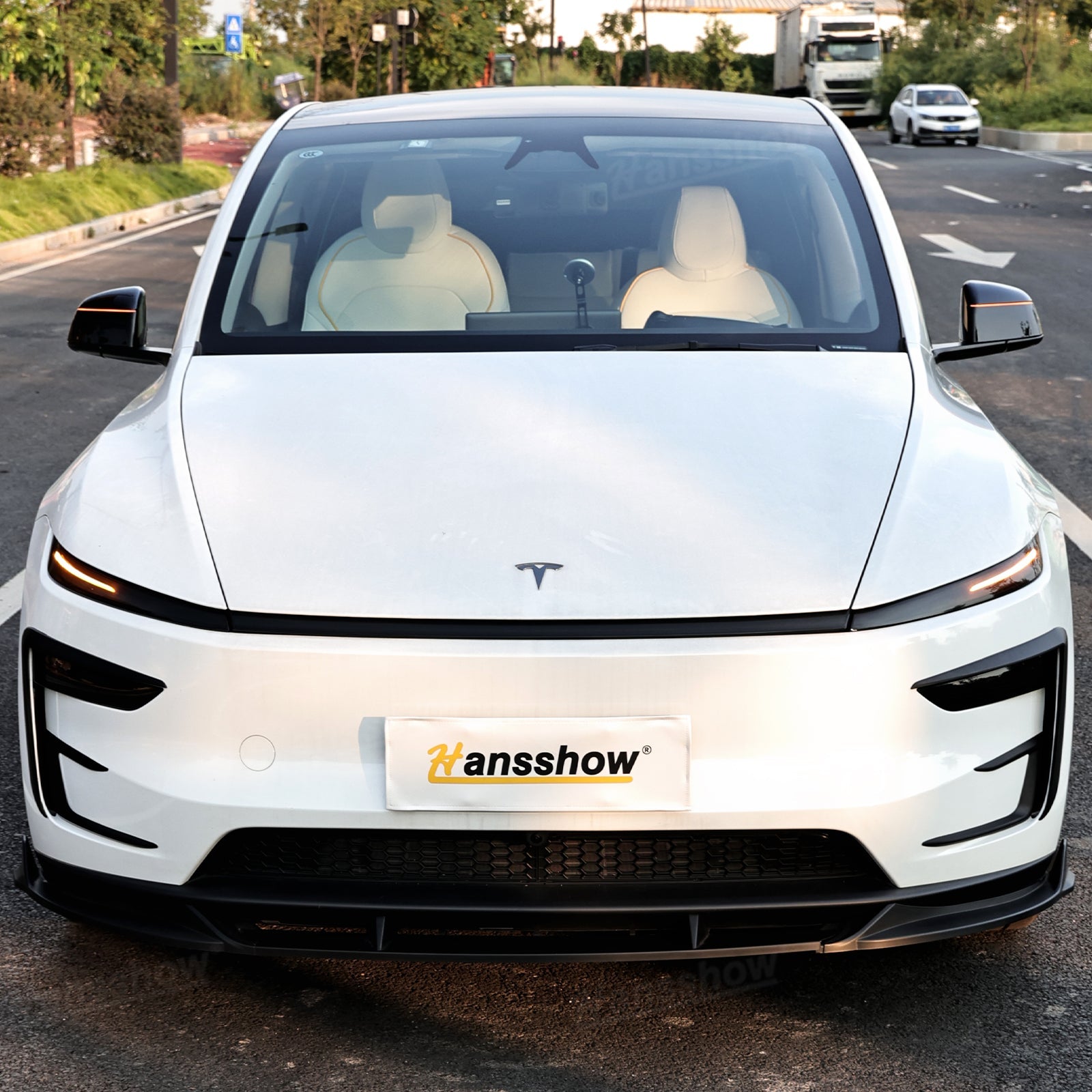 Model Y Juniper Side Mirror LED Turn Signal Lights product details