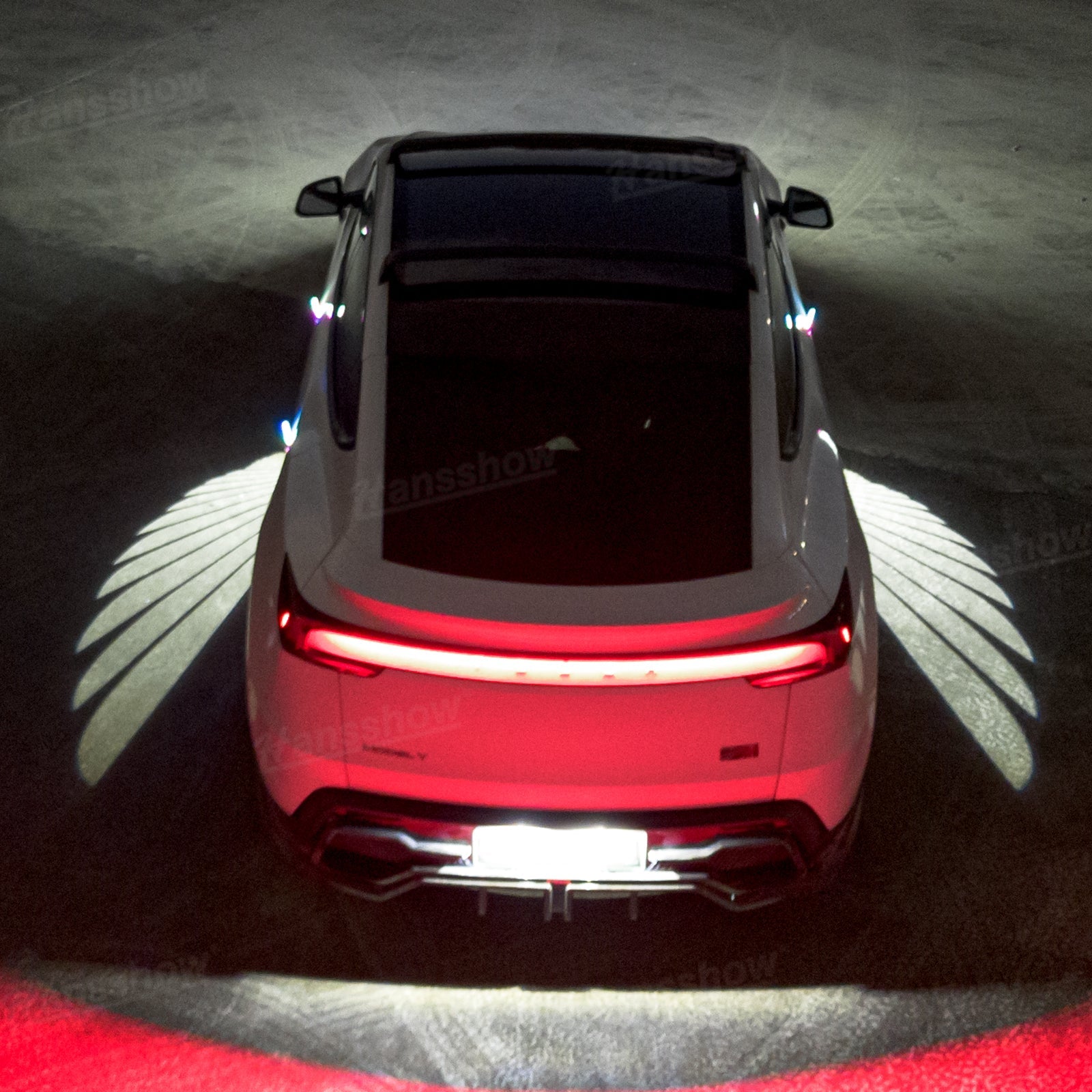 Side Mirror Projector Lights Angel Wing Welcome Lights for Tesla Model Y - User testimonial
