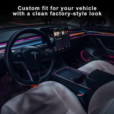 Model 3/Y Ambient Lighting Kit Dragon Scale Style RGB colors