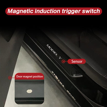 Model Y LED illuminated Door Sill ambient glow at night