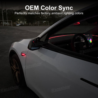 Model Y Juniper Ambient Lighting brightness adjustment feature