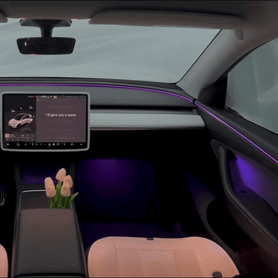 Model Y Ambient Lighting Kit installed in center console