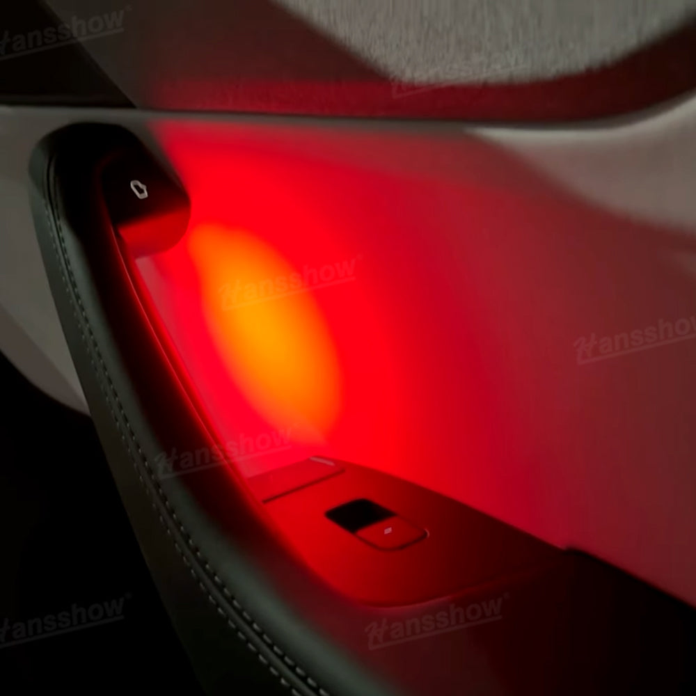 Model Y Ambient Lighting Door Handle Bowl Lights lifestyle image
