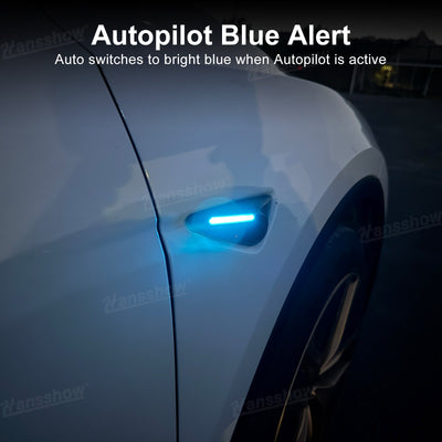 Model Y Juniper Ambient Lighting in music mode