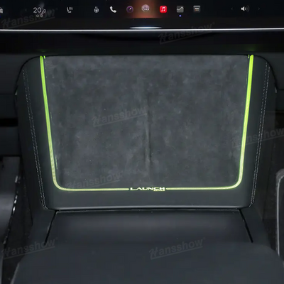 Model Y Juniper Ambient Lighting in dark environment