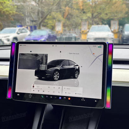 Model 3 & Y Ambient Lights front view