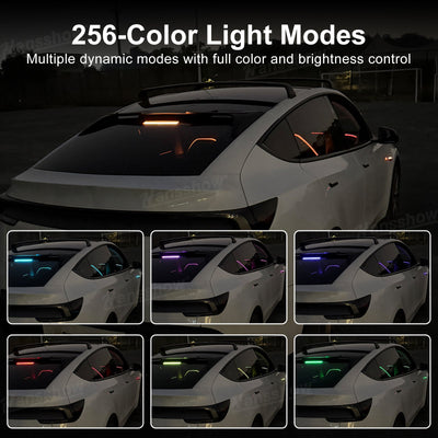 Model Y Juniper Ambient Lighting in flash mode