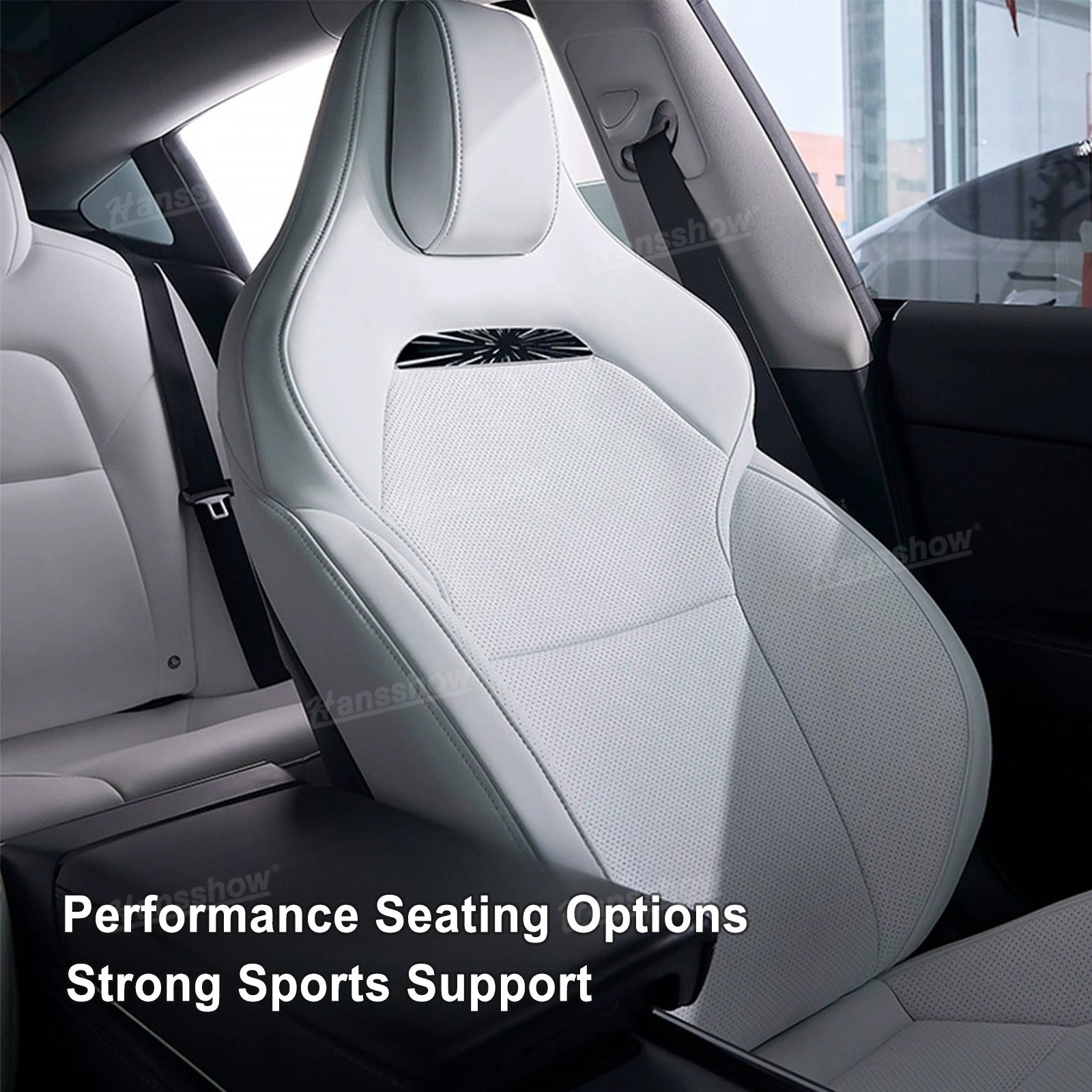 Model Y/3 NAPPA Leather Seat Replacement - Backrest Detail