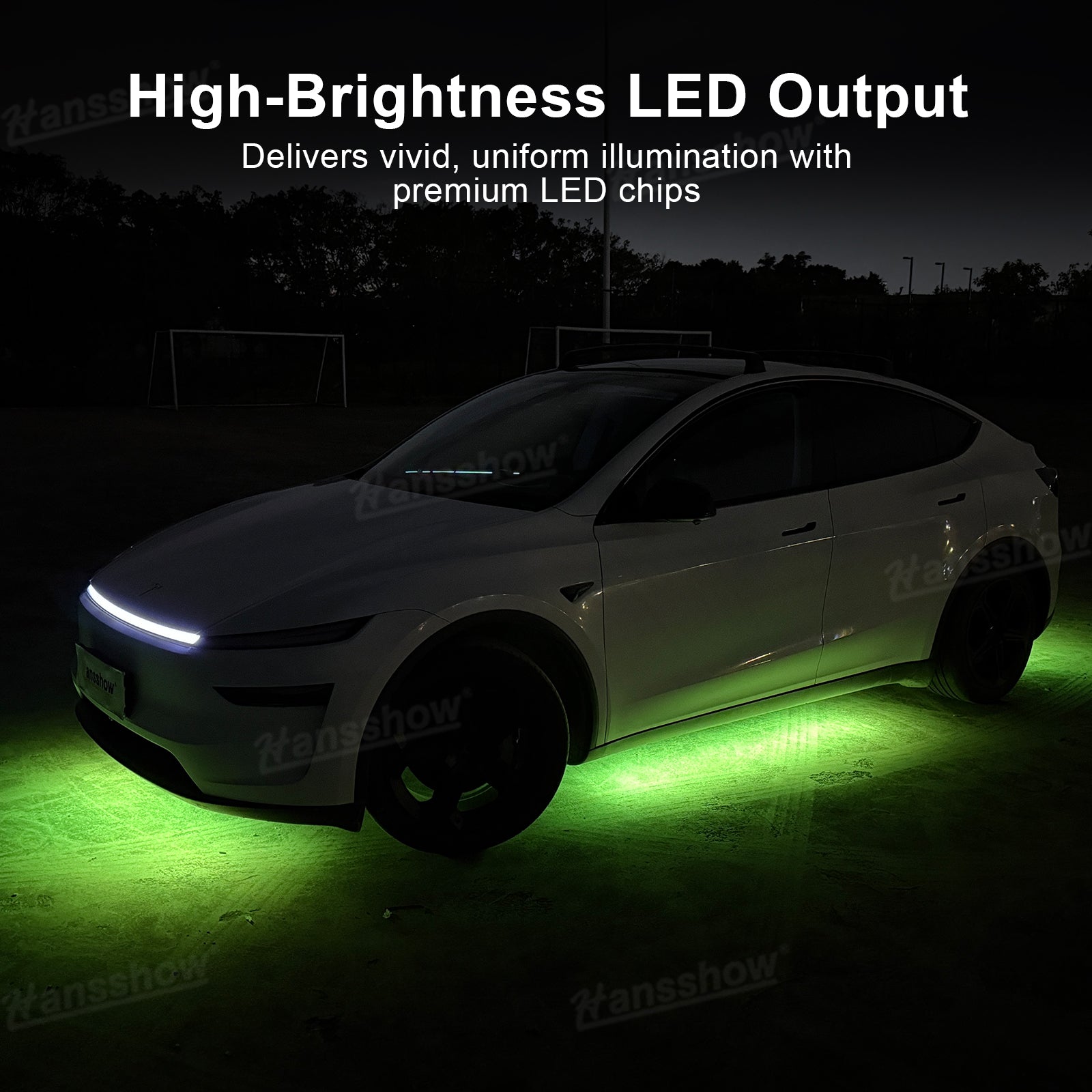 Model Y Juniper Underglow Lights LED Chassis Ambient Lighting Kit - daytime view