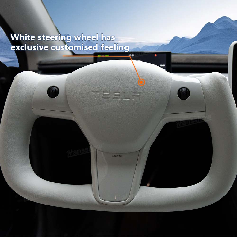 Model Y/Model 3 Bundle Of White Enthusiast Style Kits For Tesla White - Top view