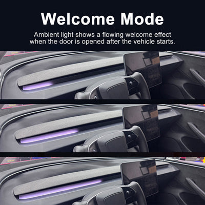 Model Y Juniper Ambient Light 3.0 showing dynamic lighting response
