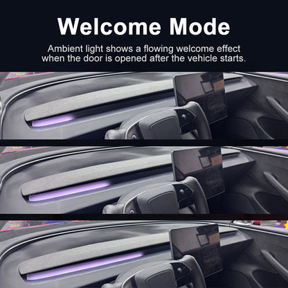 Model Y Juniper Ambient Light 3.0 showing dynamic lighting response