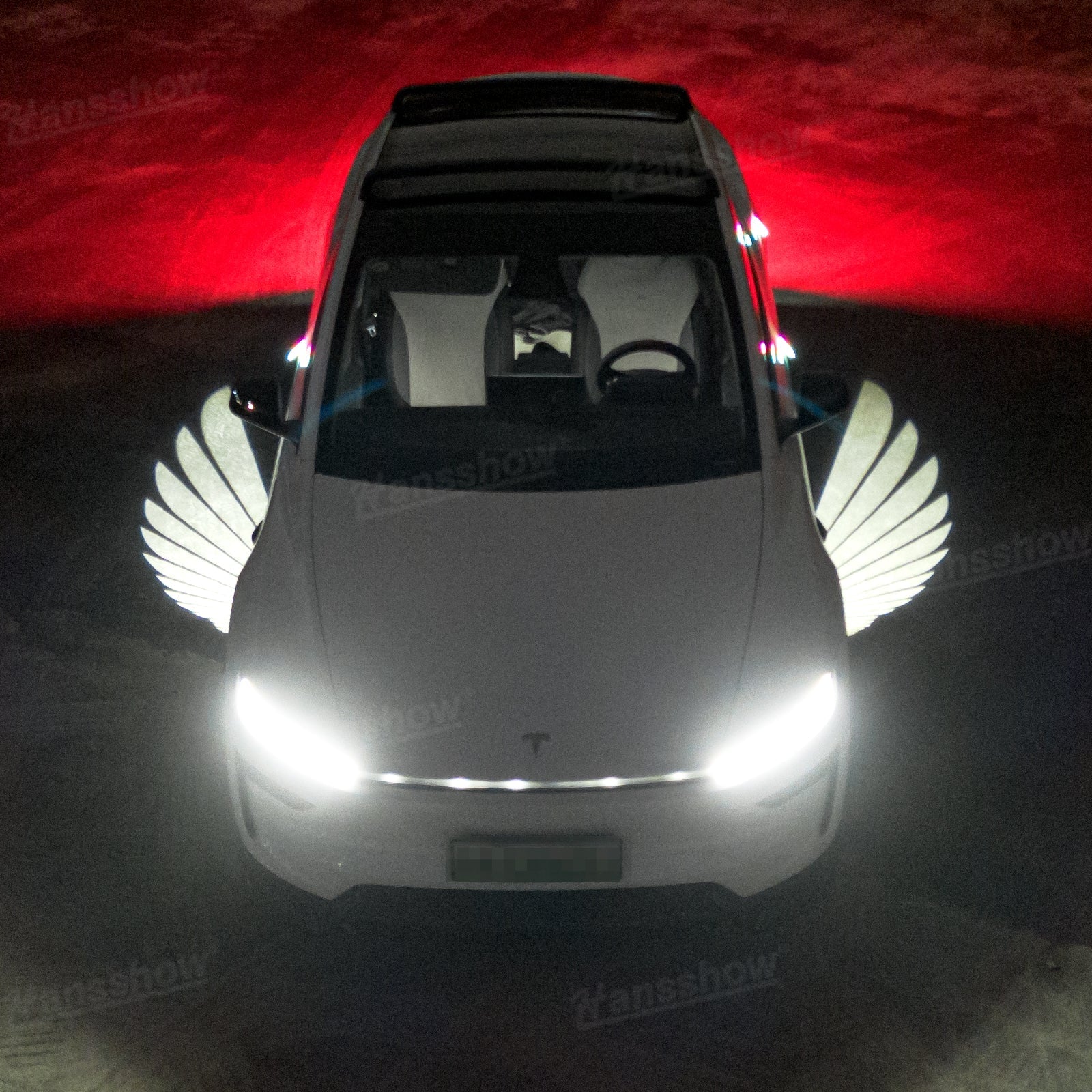 Side Mirror Projector Lights Angel Wing Welcome Lights for Tesla Model Y - Detailed projection effect