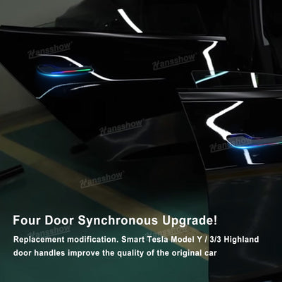 Model 3/Y Colorful Auto 4 Doors Handles (V5 Pro/V6) for Tesla Model Y - product packaging