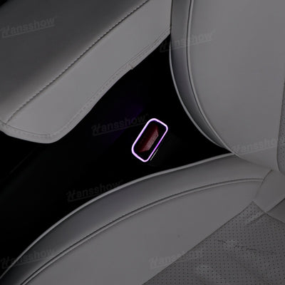 Model Y Juniper/3 Highland Ambient Lighting Kit backseat lighting view