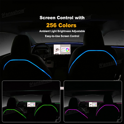 Model Y Juniper/3 Highland Ambient Lighting Kit close-up detail