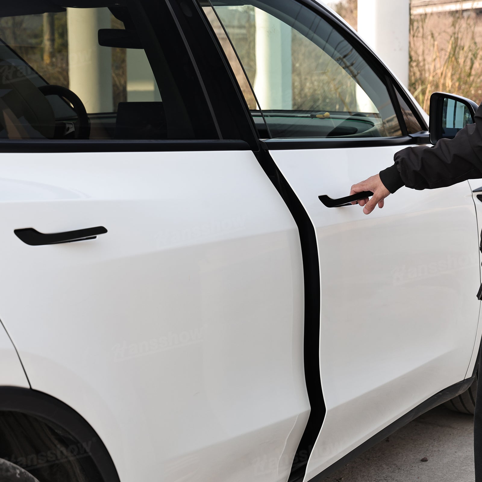 Model Y Juniper Electric Door Handle ambient lighting