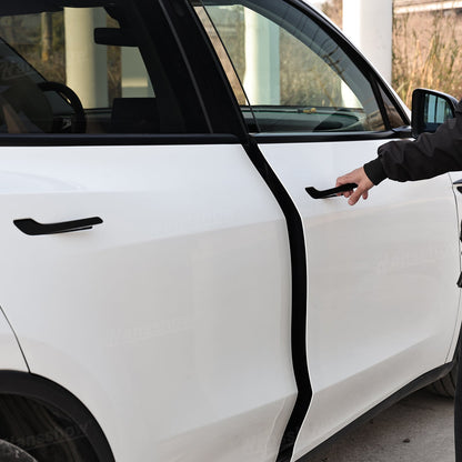 Model Y Juniper Electric Door Handle ambient lighting